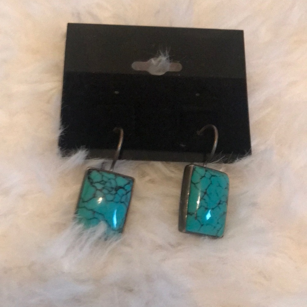 Cute blue tone Earrings